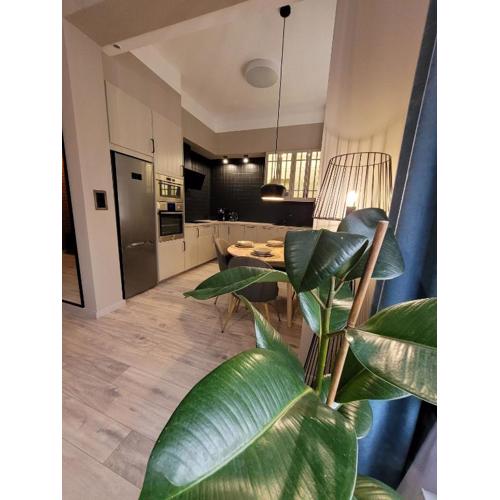 BoleslaviaApartments - Apartament Simon 2, Center