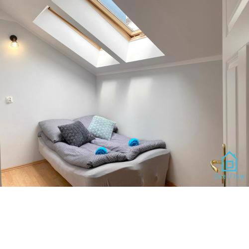 Bonjour Room