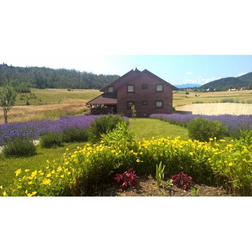 Boutique B&B Japodi