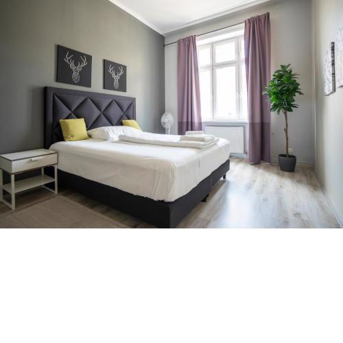 Brand new renovated appartment near Augarten