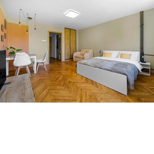 Brazylijska Praga Studio