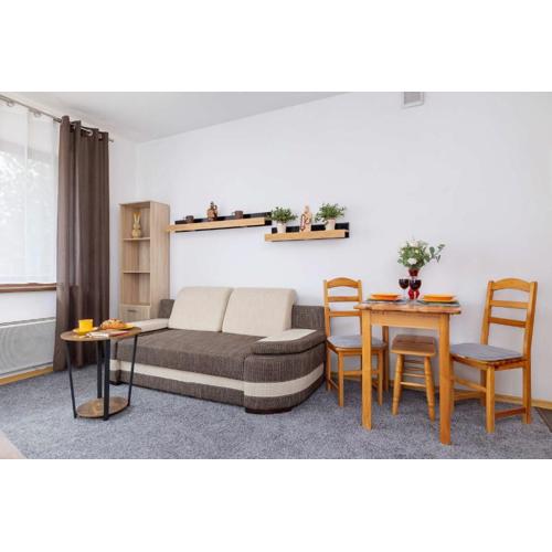 Bright Studio with Balcony in Murzasichle by Noclegi Renters