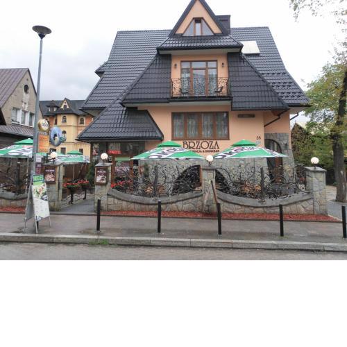 Brzoza w centrum Zakopanego