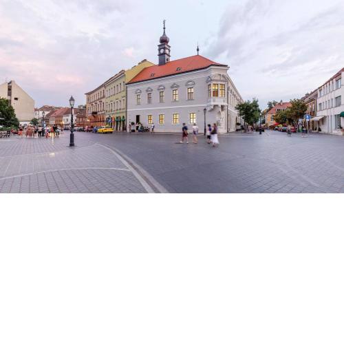 Buda Castle Studio - Inside Buda Castle