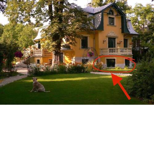 Buda Hills villa apartment