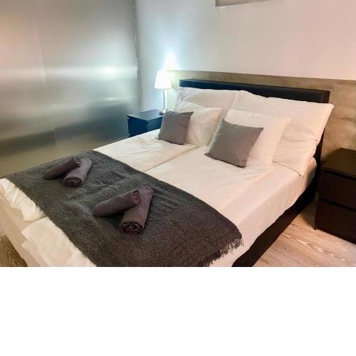 Budapest Downtown Nest