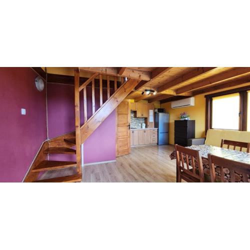 BUENA VISTA POLAŃCZYK domki z klimatyzacją 506 - 289 - 019