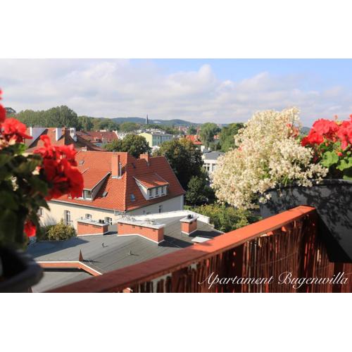 Bugenwilla Apartament