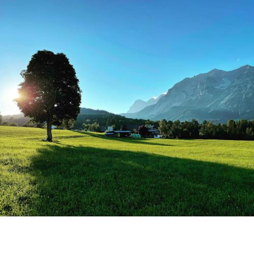 Burglehnerhof