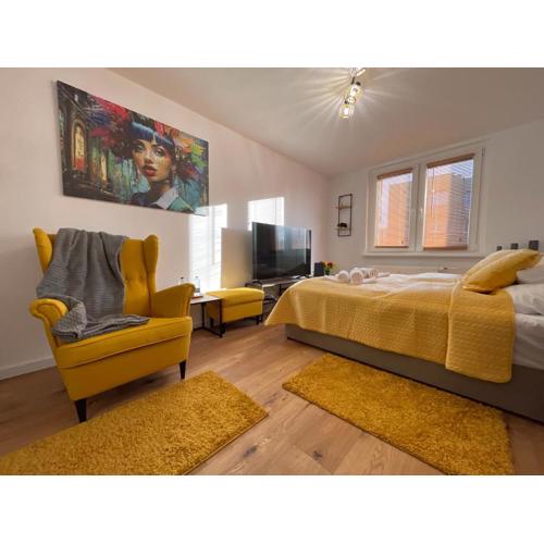Business Class Studio Apartment Katowice Silesia City Center
