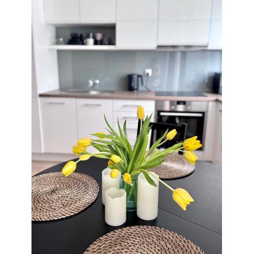C-Home4U - Apartment with a city view close to AquaPark, up to 4 people, parking in secured area