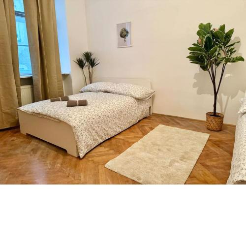 Calm & Quiet Apartment with Free Parking