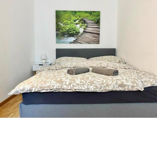 Calm & Sunny Apartment with Free Parking