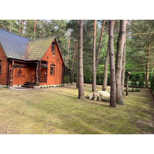 Całoroczny Domek Oliwia DELUX na wyłączność