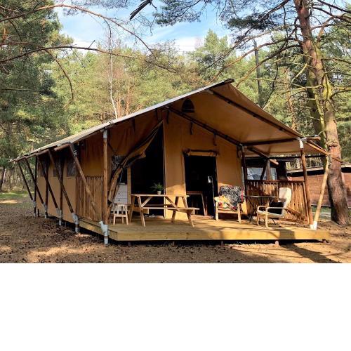 Camp Bursztynowy Las