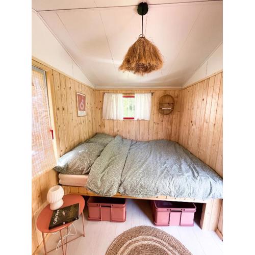 Camping Rogowo