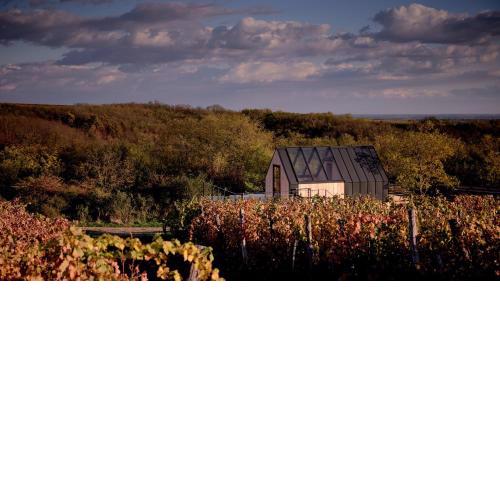 CAMPY ECO HOUSE • EGER