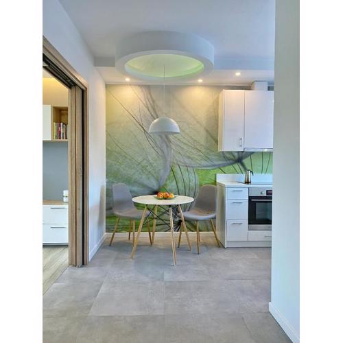 Capital Towers - Apartament Green z widokiem na rzekę