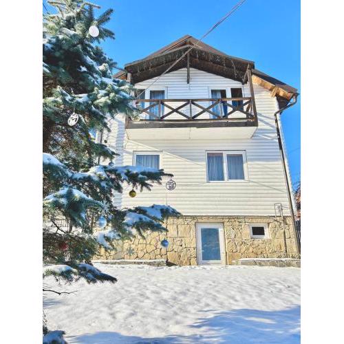 Carpathian manor