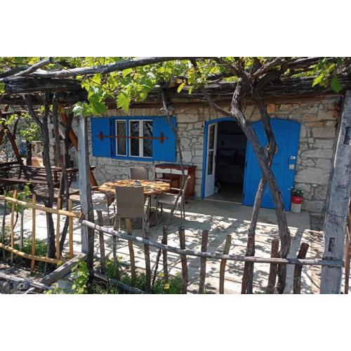 Casa Delle Olive