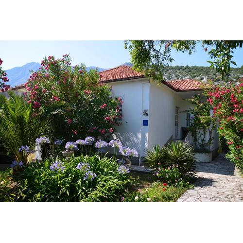Casa Svjetlana
