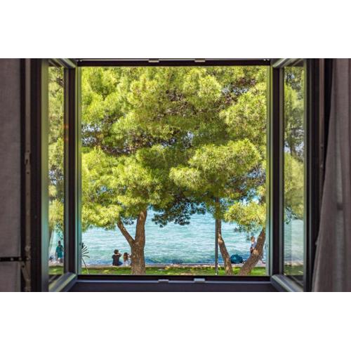 Casamare - Fazana