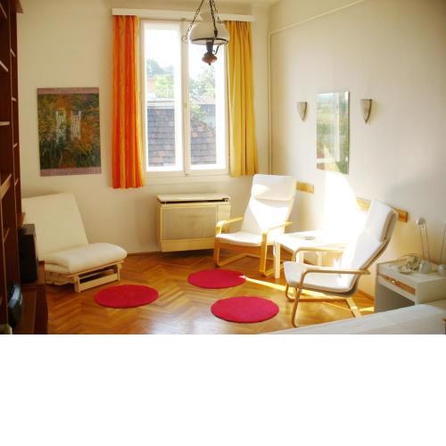 Castle Area Apartment
