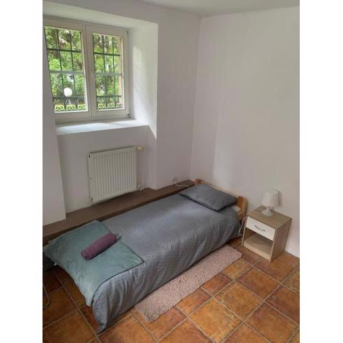 Central and affordable room in basement
