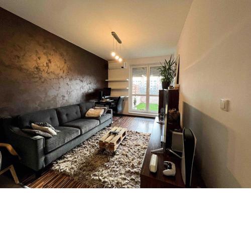 Central AREA Cozy Apartment