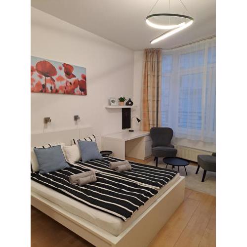 Central Belvedere Apartman