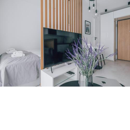 Central II Apartment Gdańsk