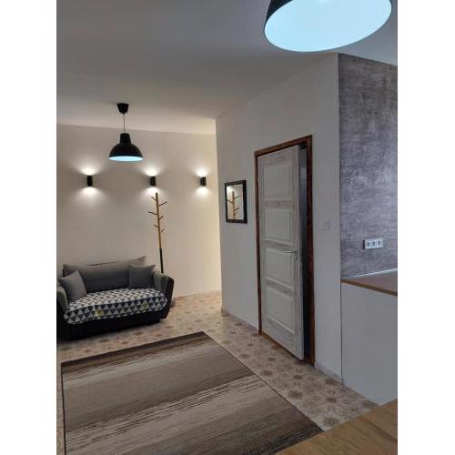 Central Lux Apartments