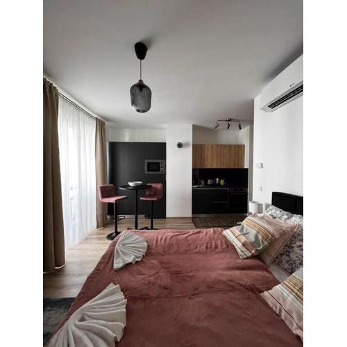 Central studio in Budapest Soho - 213