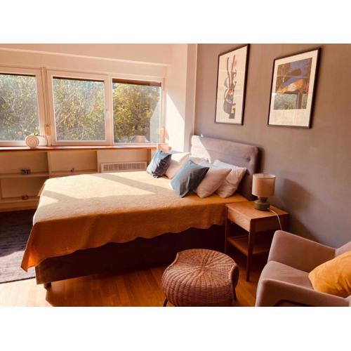 Centrally Chic Studio