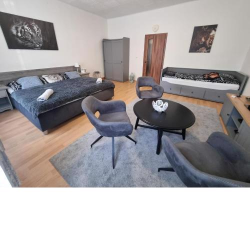 Černý Tulipán - Apartmán 1