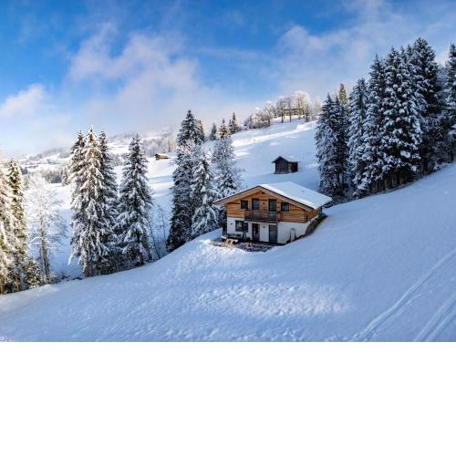 Chalet Alpenherz