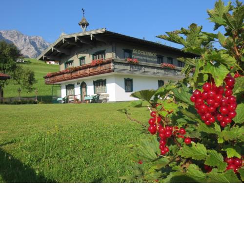 Chalet Glockenhof