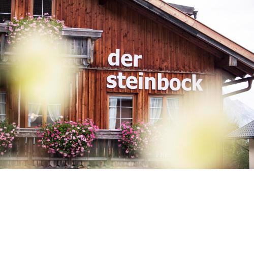 Chalet Hildegard - der Steinbock