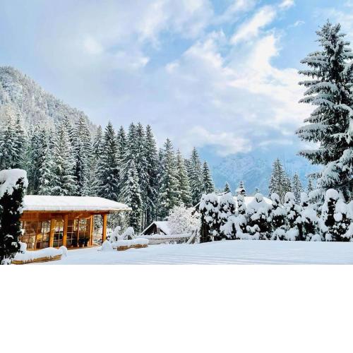 Chalet in Tyrol near ski-area