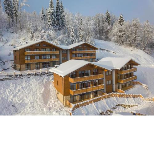 Chalet in Wagrain near Flying Mozart cable