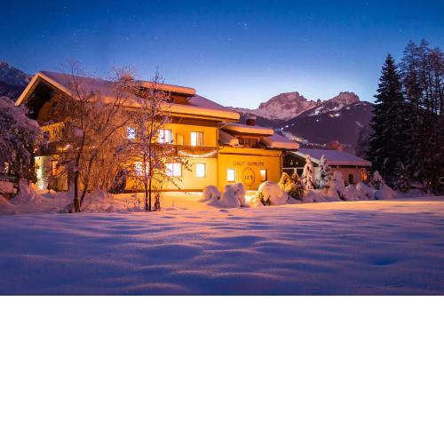 Chalet Kammleitn