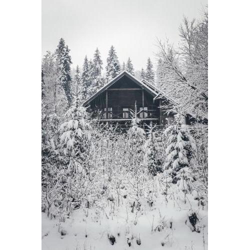 Chalet Shepit Karpat