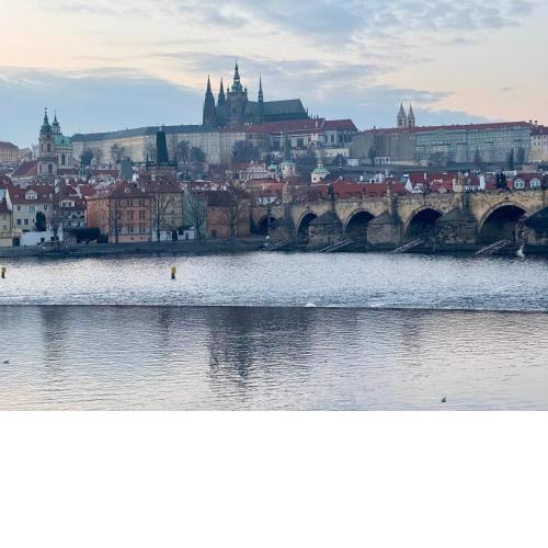Charles Bridge Apartment