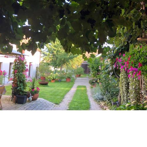 Charmantes Cottage Appartement