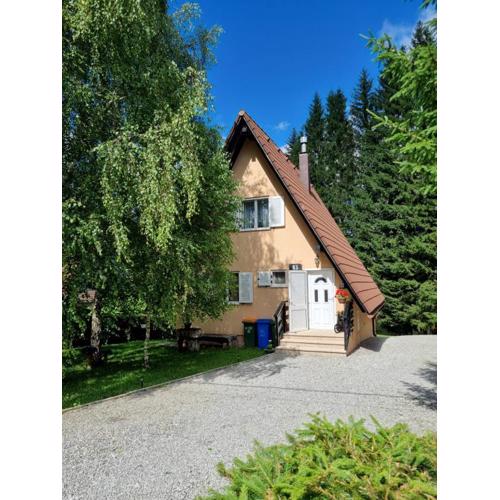 Charming mountain hut Kazić
