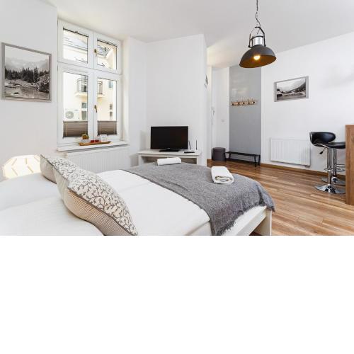 Charming Studio - 54 Starowislna street