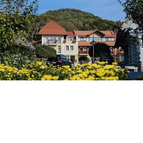 Chervona Ruta