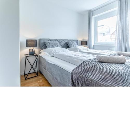 Chic 1BR and 1LR Apt in Central Vienna
