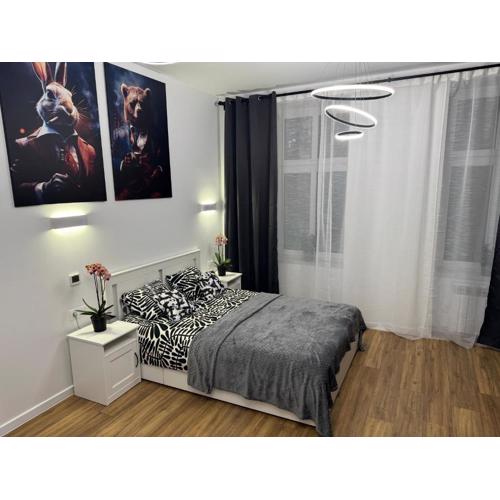 Chicago Apartment