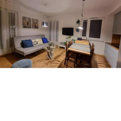Chihuahua_Apartaments